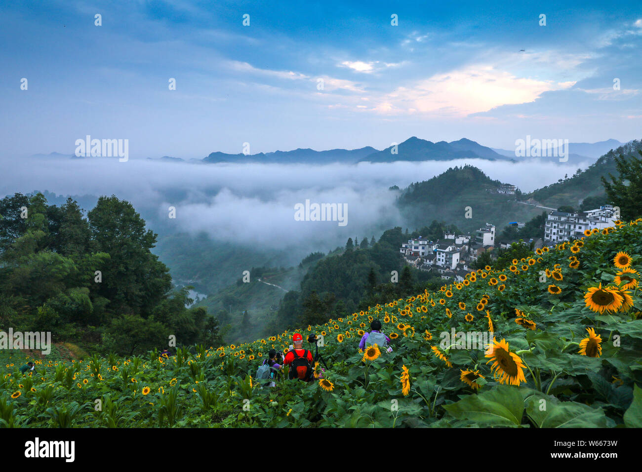 Paesaggio di montagna circondato da incantevoli nuvole presso la montagna di giallo punto panoramico nella città di Huangshan, est cinese della provincia di Anhui, 24 luglio 2018. Foto Stock