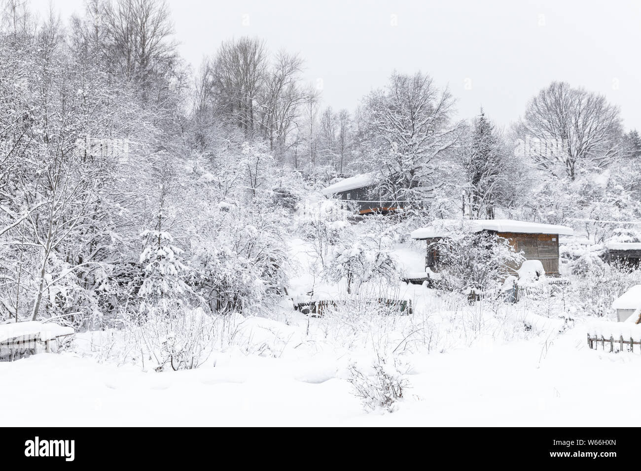 Inverno russo paesaggio con alberi innevati e case di villaggio di giorno Foto Stock
