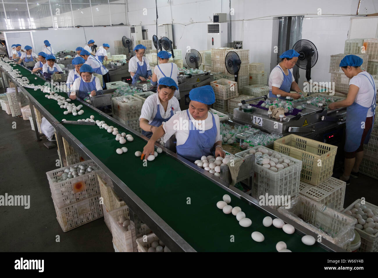 Lavoratori pack salati uova di anatra in Gaoyou, città di Yangzhou, est cinese della provincia di Jiangsu, 16 aprile 2018. Salate uova di anatra, tipicamente salatura in salamoia, Foto Stock