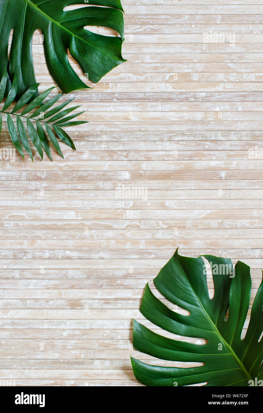Tropical monstera e foglie di palmo su uno sfondo di legno vista superiore Foto Stock