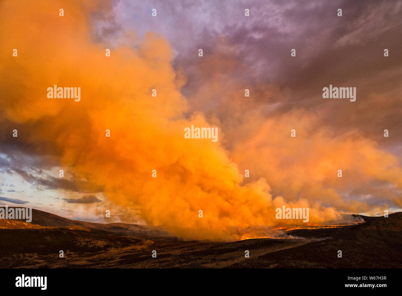 Wildfire su mori sopra Drumnadrochit, il Great Glen, Scozia, con un pennacchio di fumo illuminata dal sole al tramonto. Foto Stock