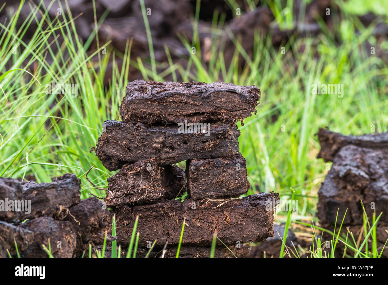 Pila di torbiera turf impilati fino a un campo di wiesmoor, Germania. Foto Stock
