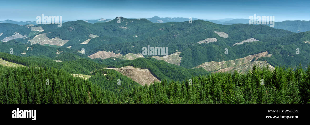 O: Douglas County, Cascades pendio ovest, nord Umpqua Valley. Vista sulle montagne di distanza a est di Cottage Grove, mostrando clearcuts Foto Stock