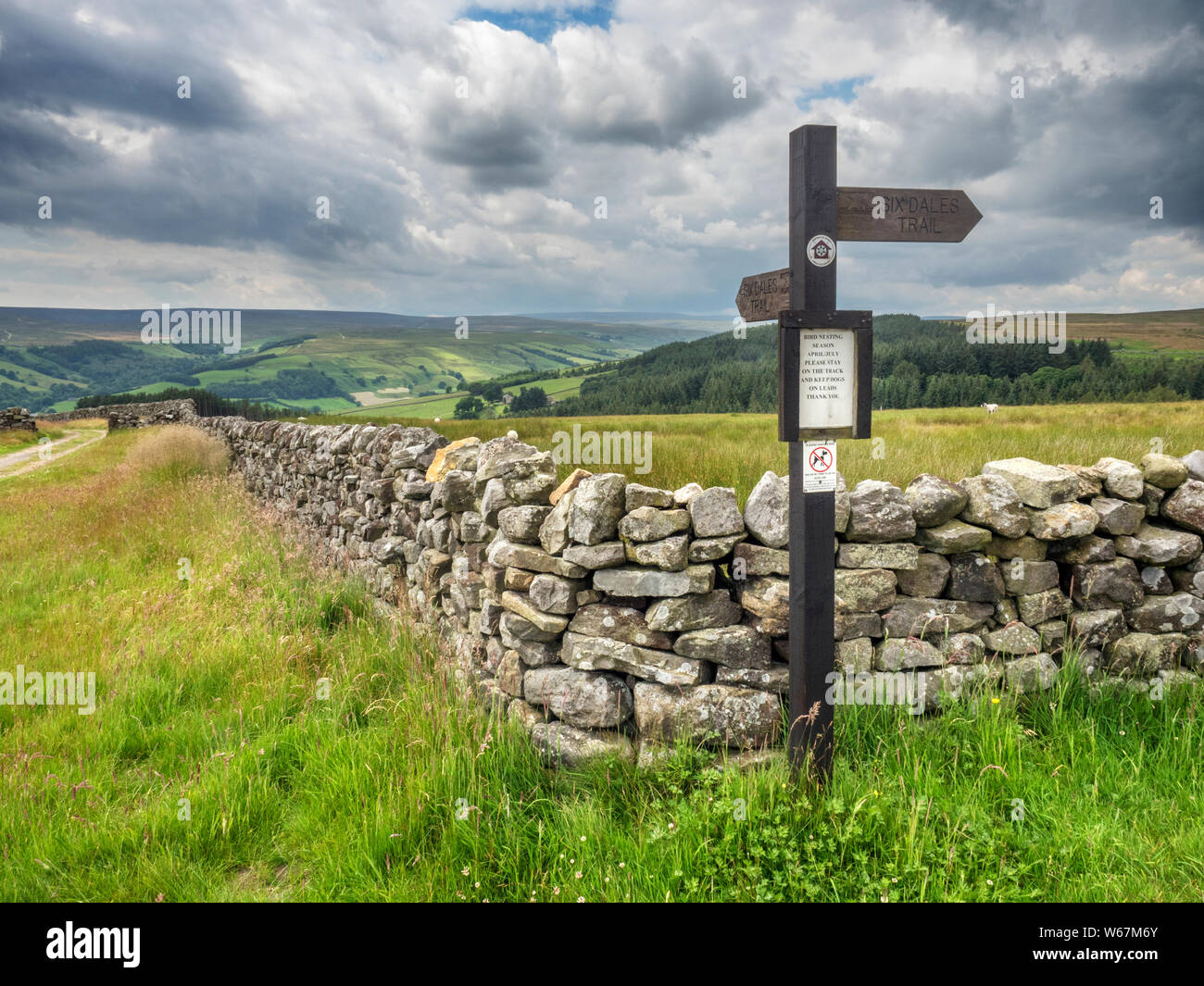 Sei Dales Trail signpost fontane sulla terra Moor vicino Ramsgill in Nidderdale superiore North Yorkshire, Inghilterra Foto Stock