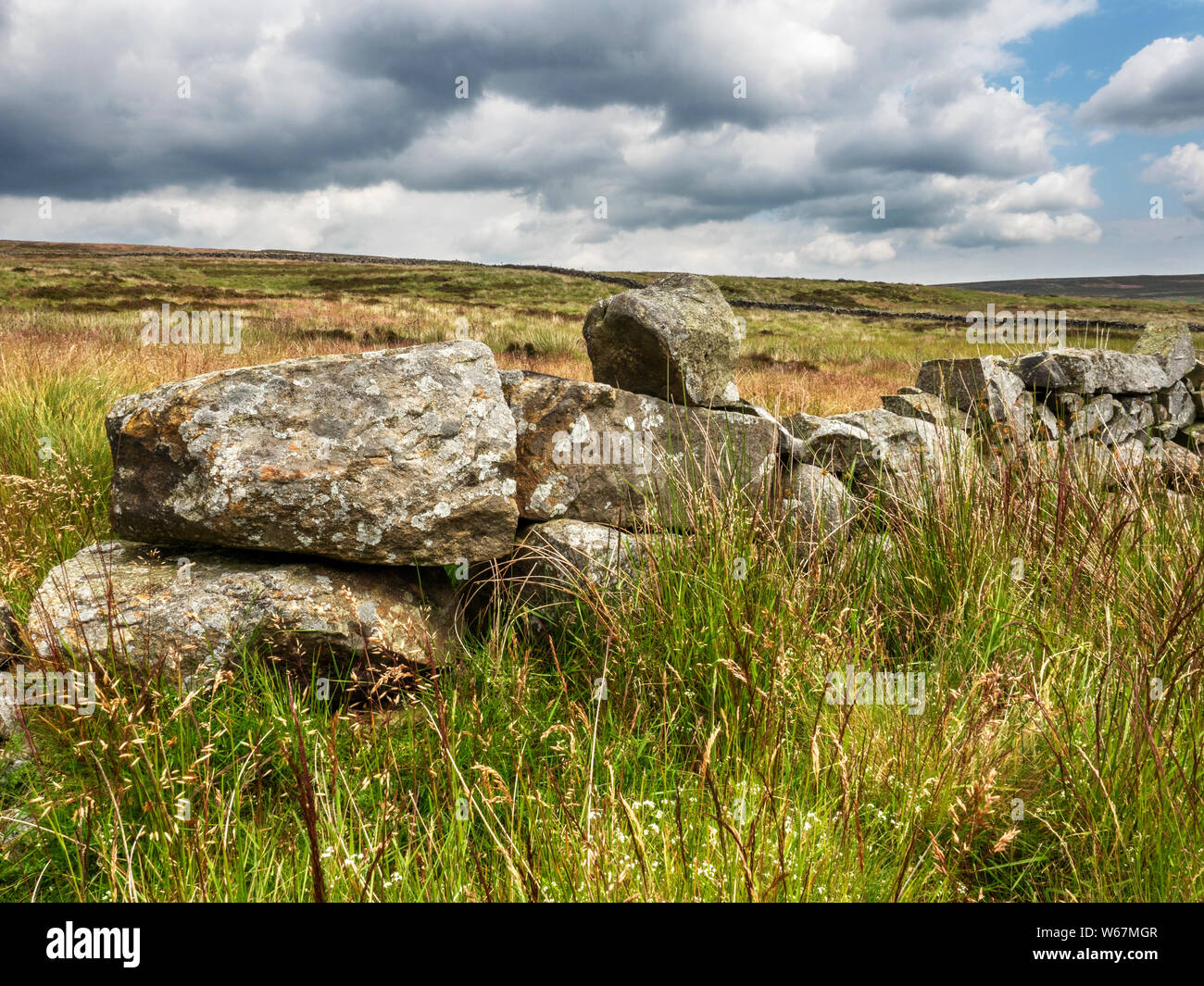 Asciugare la parete in pietra sulla brughiera vicino Ramsgill in Nidderdale superiore North Yorkshire, Inghilterra Foto Stock