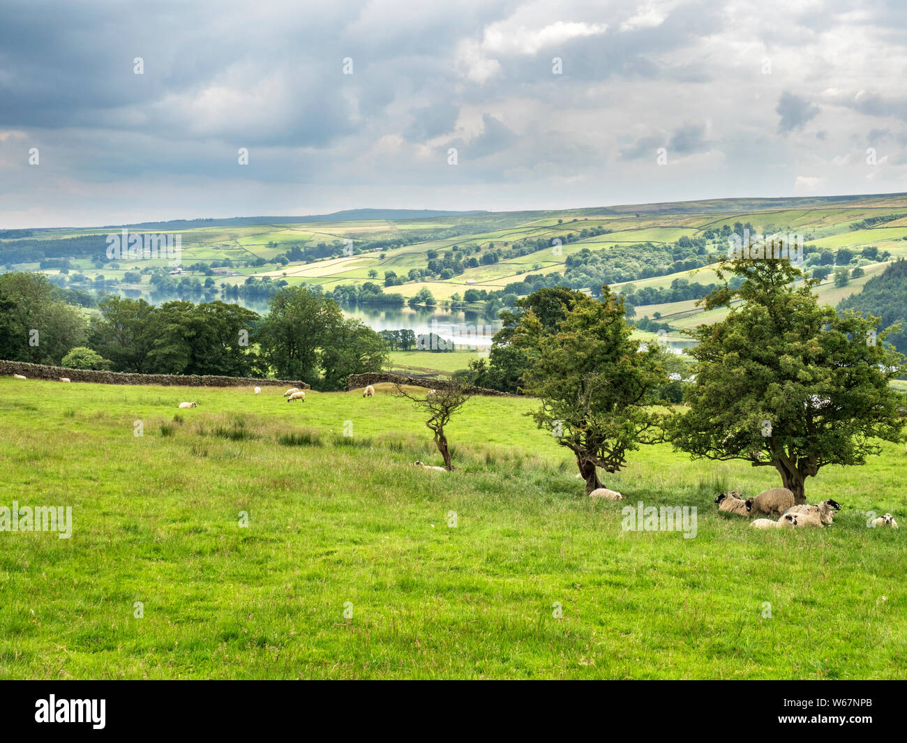 Vista verso Gouthwaite serbatoio vicino Ramsgill in Nidderdale superiore North Yorkshire, Inghilterra Foto Stock