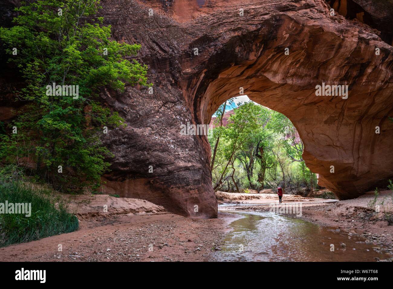 Coyote Natural Bridge in Coyote Gulch dello Scalone Escalante monumento nazionale Foto Stock