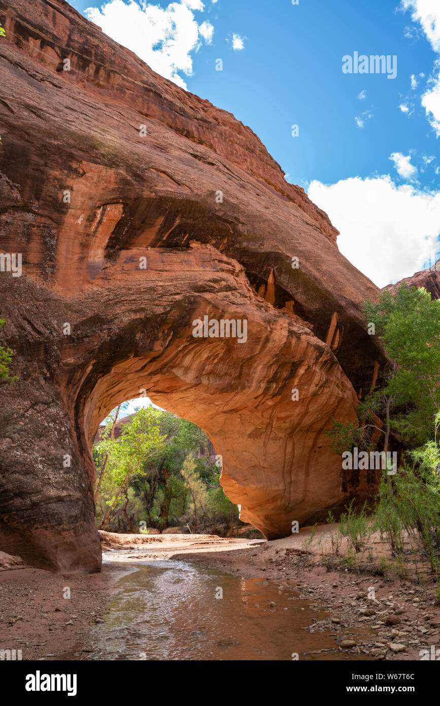 Coyote Natural Bridge in Coyote Gulch dello Scalone Escalante monumento nazionale Foto Stock