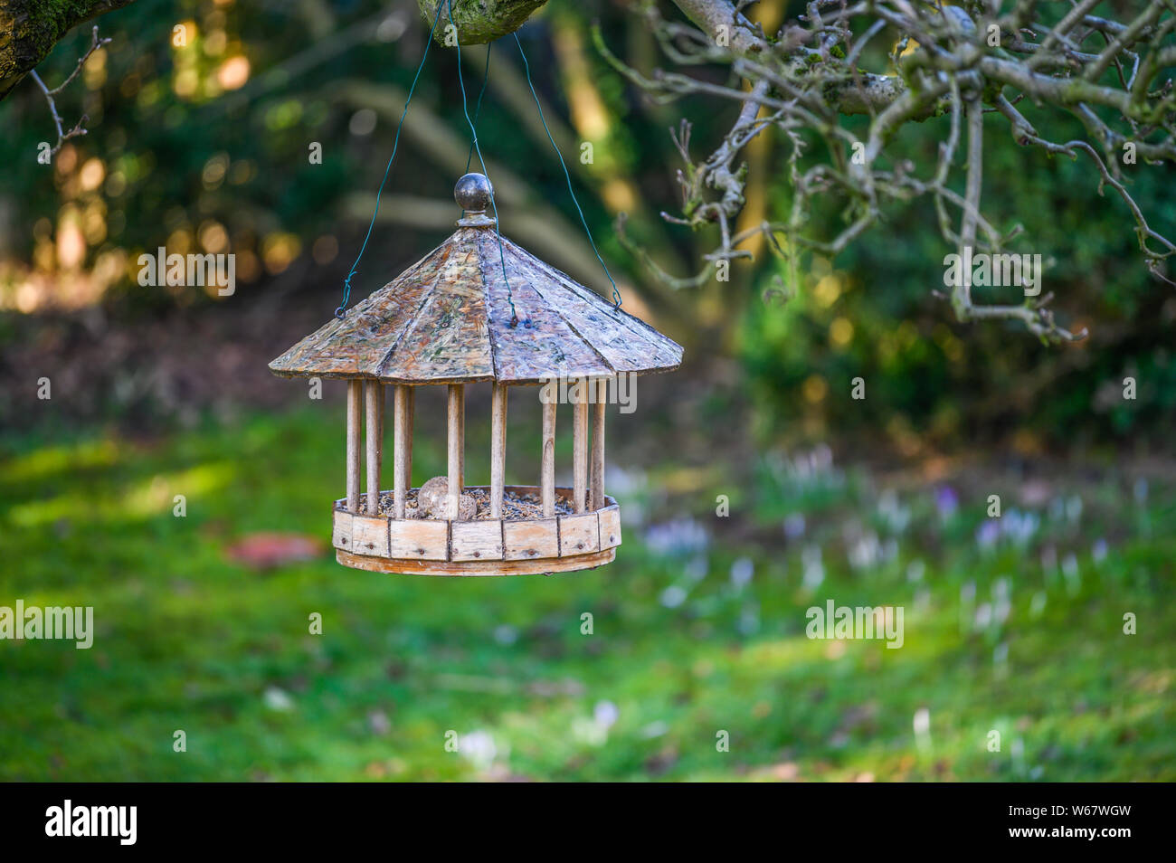 Casella di uccelli, giardino di Amburgo, Germania Foto Stock