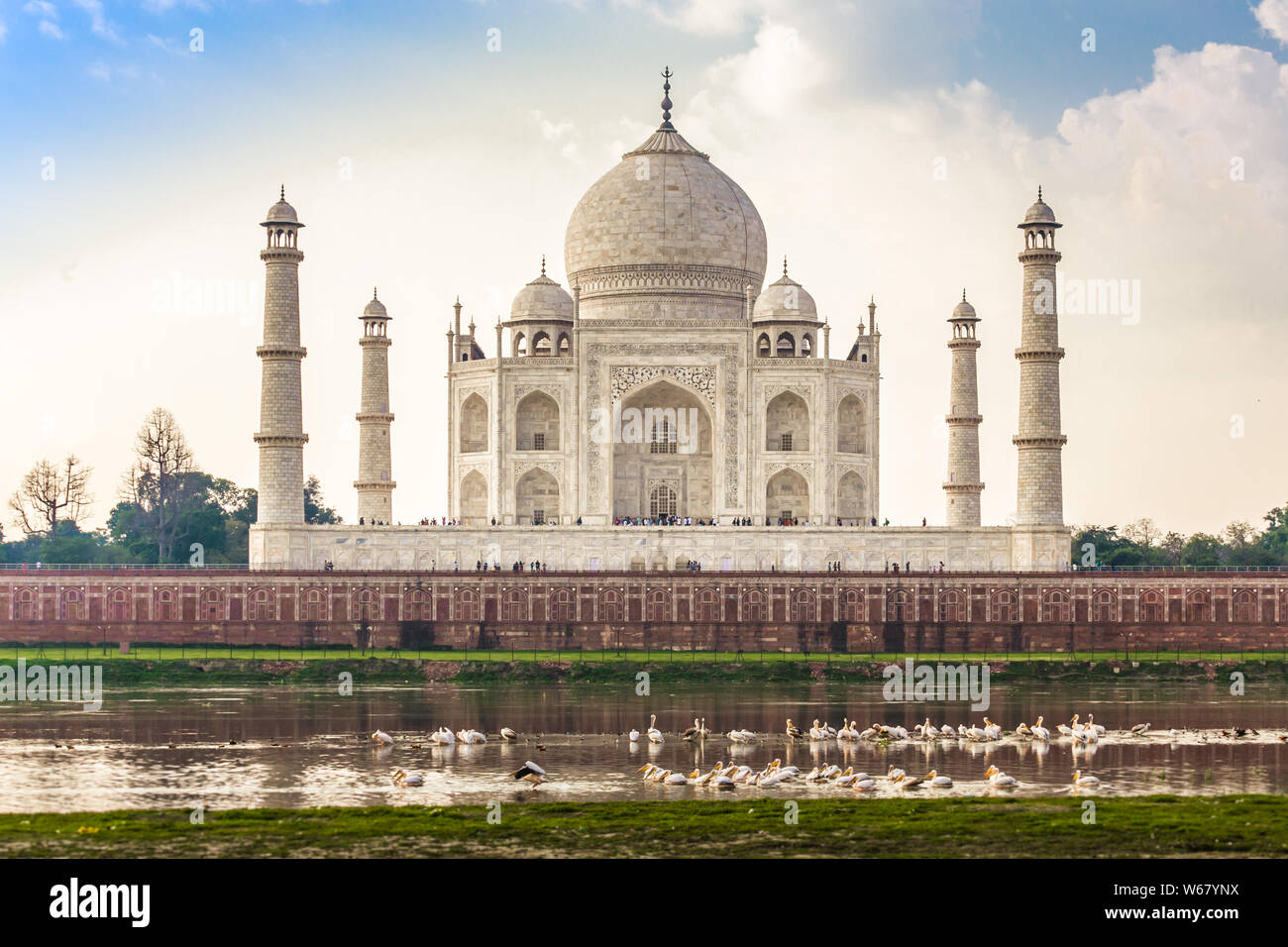 Bellissima vista del monumento di amore - il Taj Mahal sulle rive del fiume Yamuna in Agra, India con Pelican uccelli nuoto. Foto Stock