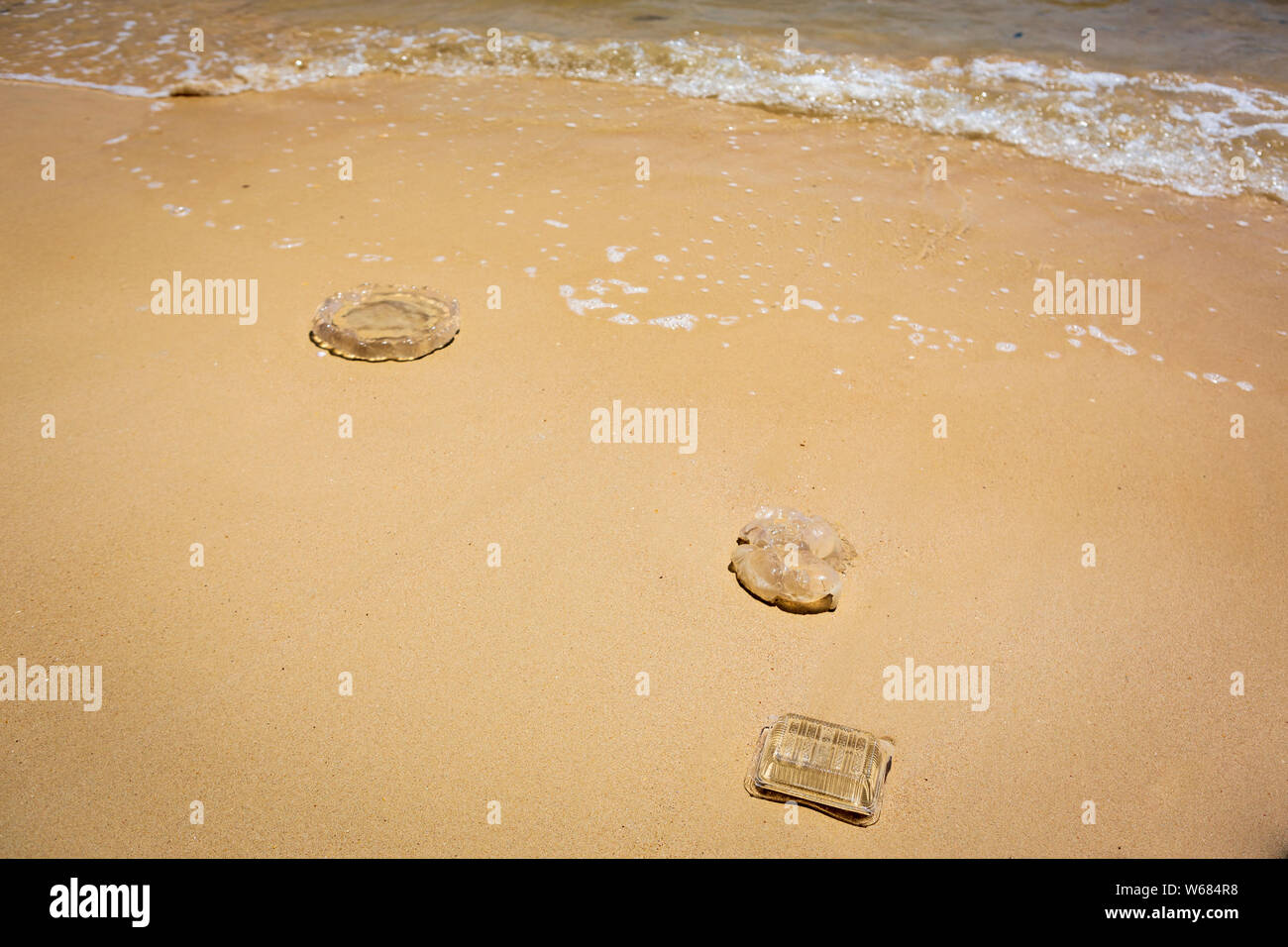 Un contenitore di plastica e meduse lavato fino ad una spiaggia tailandese, Krabi, Thailandia. Inquinamento Ambientale - inquinamento di plastica. Foto Stock