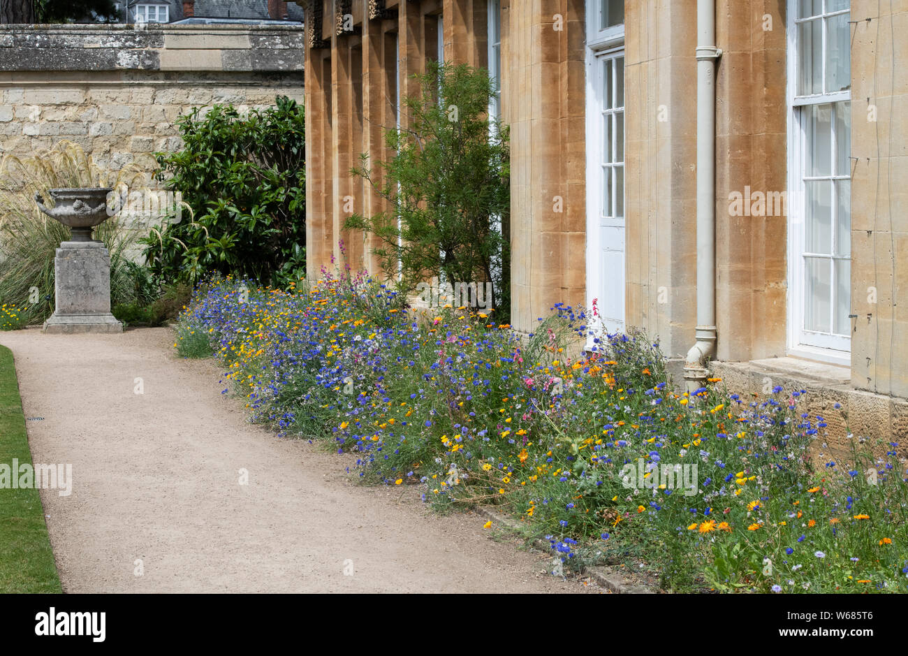 Confine di fiori selvaggi in estate a Oxford Botanic Garden, Oxford, Oxfordshire, Inghilterra Foto Stock