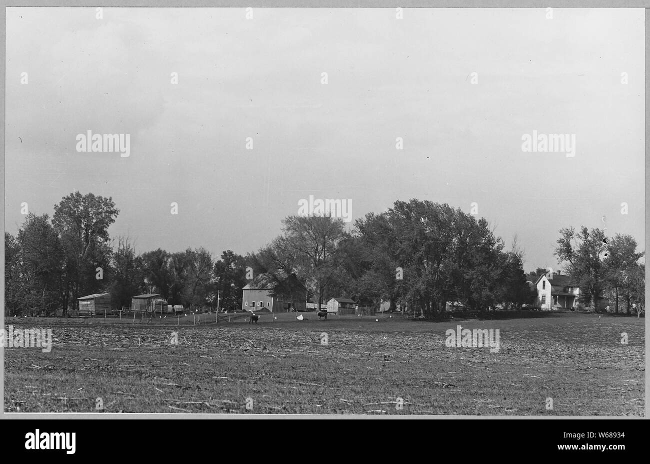 Shelby County, Iowa. Viste generali delle cascine. Queste immagini mostrano la disposizione tipica di Shelby C . . .; Portata e contenuto: Full didascalia recita come segue: Shelby County, Iowa. Viste generali delle cascine. Queste immagini mostrano la disposizione dei tipici della contea di Shelby Farms. Cose da notare sono le dimensioni e il numero delle dipendenze, la loro vicinanza alle abitazioni e i boschi intorno a ogni luogo e la variazione di dimensione, la forma e la disposizione degli edifici. Le somiglianze delle cose in questa regione è spesso sottovalutata. Non ci è variazione qui come vi è ovunque. Foto Stock