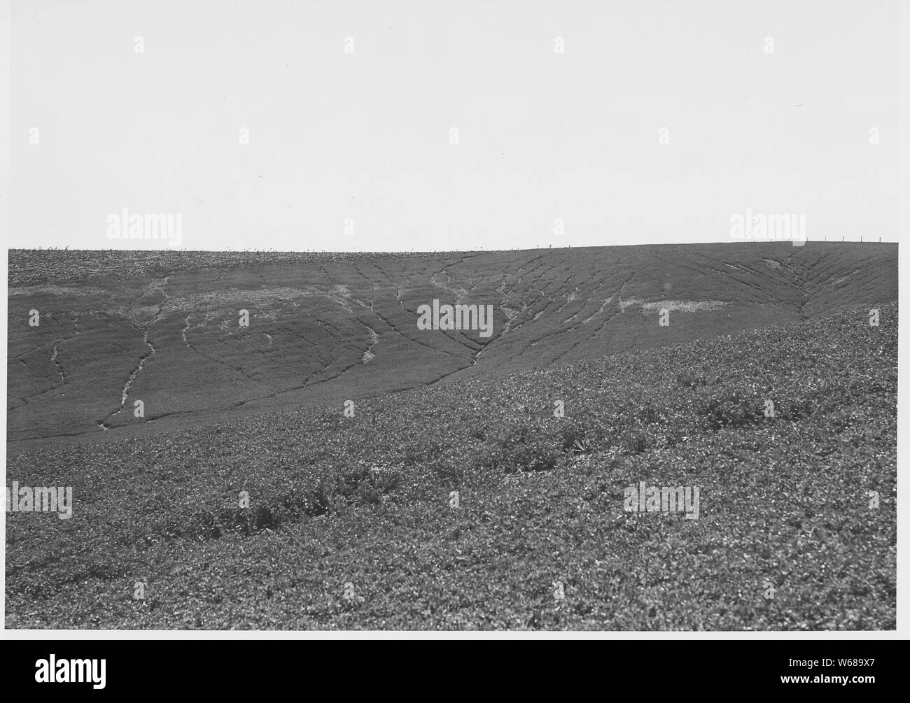 Shelby County, Iowa. Questa terra in Shelby County erode velocemente perché è bella e libera dalle rocce di una . . .; Portata e contenuto: Full didascalia recita come segue: Shelby County, Iowa. Questa terra in Shelby County erode velocemente perché è bella e libera da rocce e radici. Talune prassi di conservazione sono comuni, come ad esempio l'aratura sotto di verde trifoglio (e in misura minore, striscia mozzando). Tuttavia, Contorno arando, che è in conflitto con il vecchio modello prestabilito di aratura lungo i solchi della retta, non è ampiamente accettata. Foto Stock