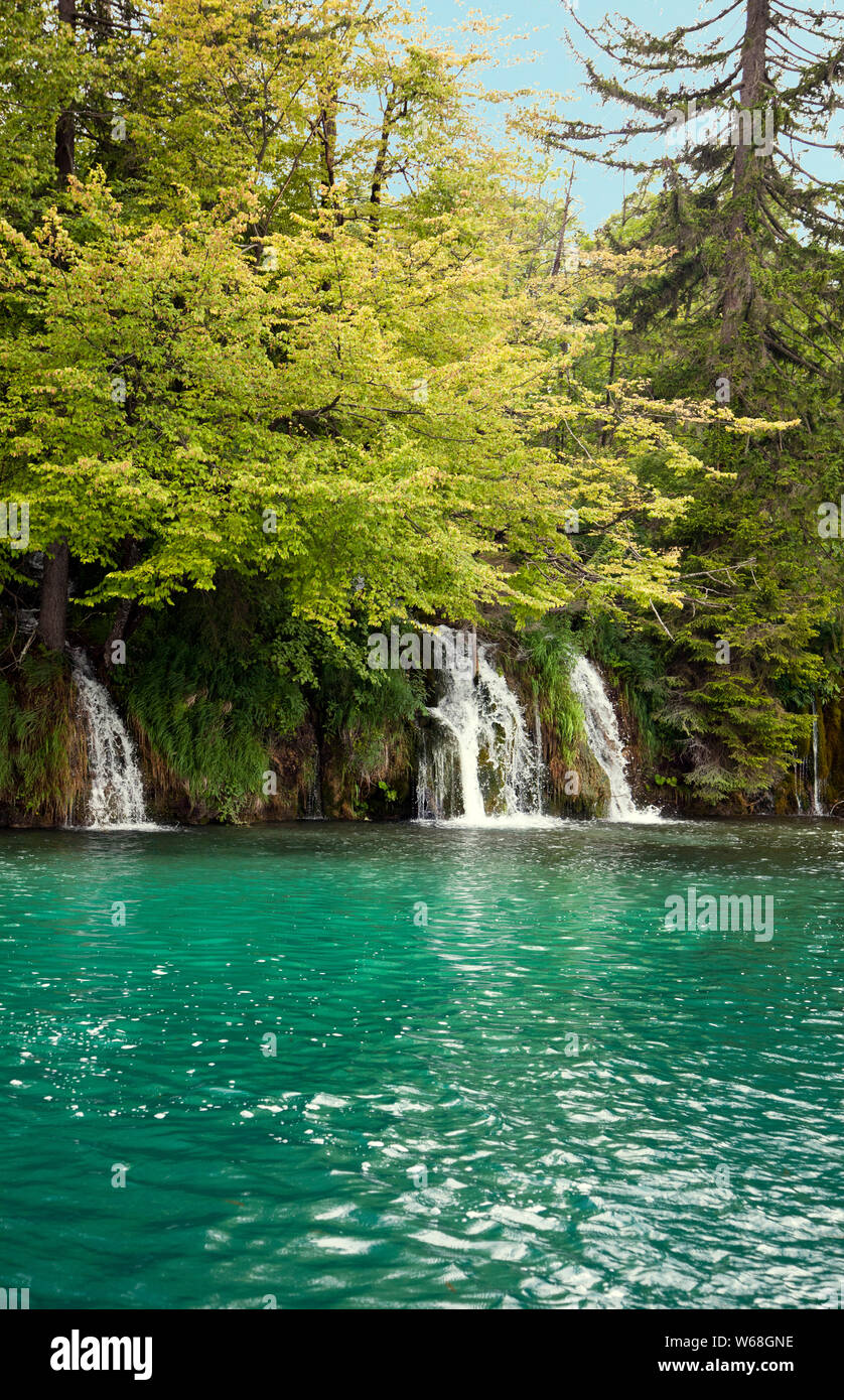 Triple cascate, il Parco Nazionale dei Laghi di Plitvice, Croazia. UNESCO - Sito Patrimonio dell'Umanità, questa meraviglia naturale contiene sedici laghi collegati tra loro da fiumi. Foto Stock