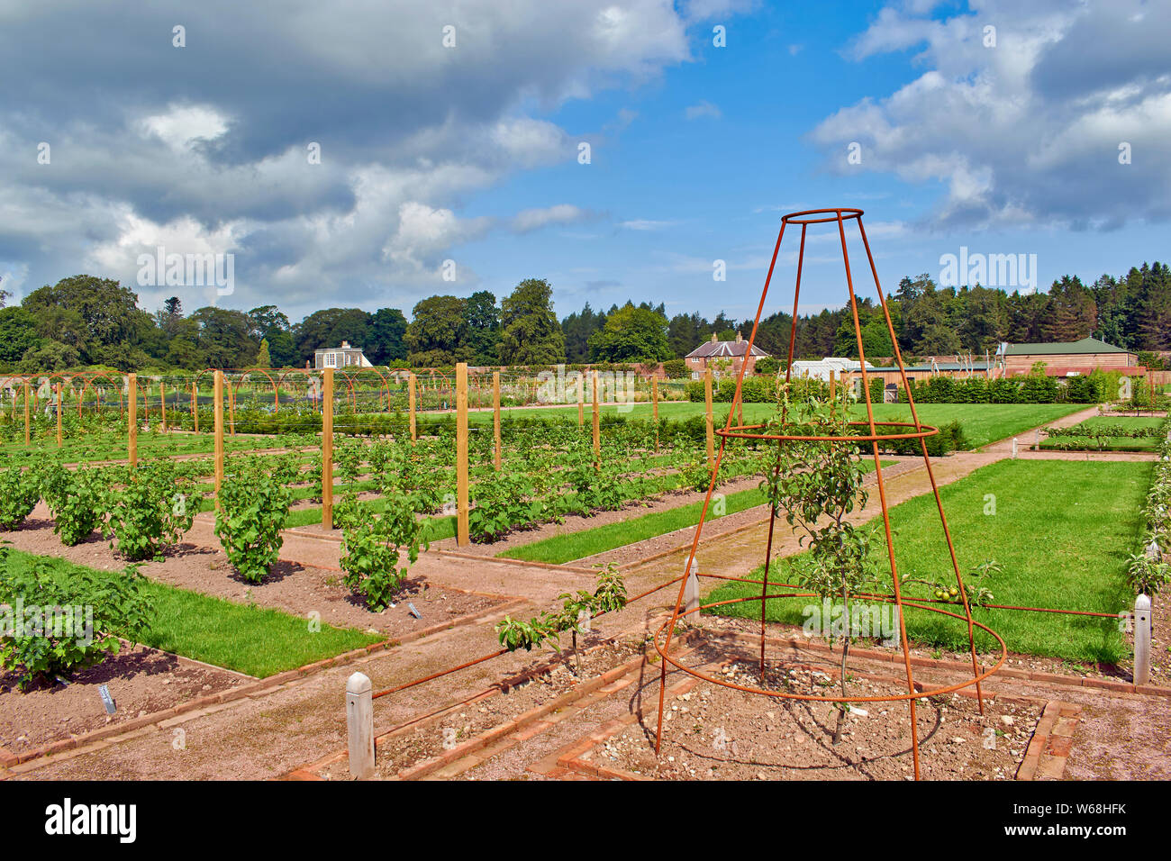 GORDON CASTLE GARDENS FOCHABERS MORAY Scozia il vasto giardino murato di bussole di frutta e canne di lampone Foto Stock