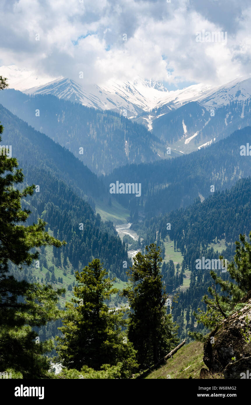 Bellissima vista del paesaggio di montagna su una mattina nuvoloso dalla strada Gulmarg in Gulmarg Wildlife Sanctuary, Jammu e Kashmir India Foto Stock