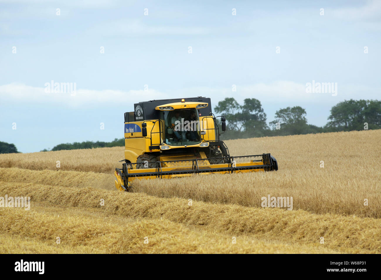 Gli agricoltori di raccolti la contea di Armagh campi su l'ultimo giorno del mese di luglio, Mercoledì, 31 luglio 2019. (Foto di Paolo McErlane) Foto Stock