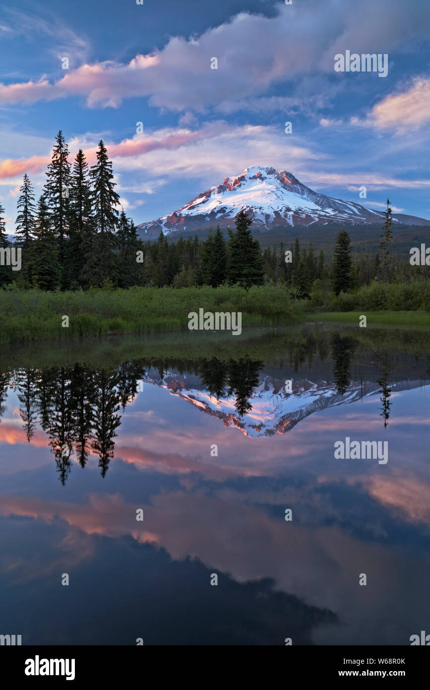 I colori del tramonto su burst Oregon Mt Hood riflettendo in Multorpor Fen. Foto Stock