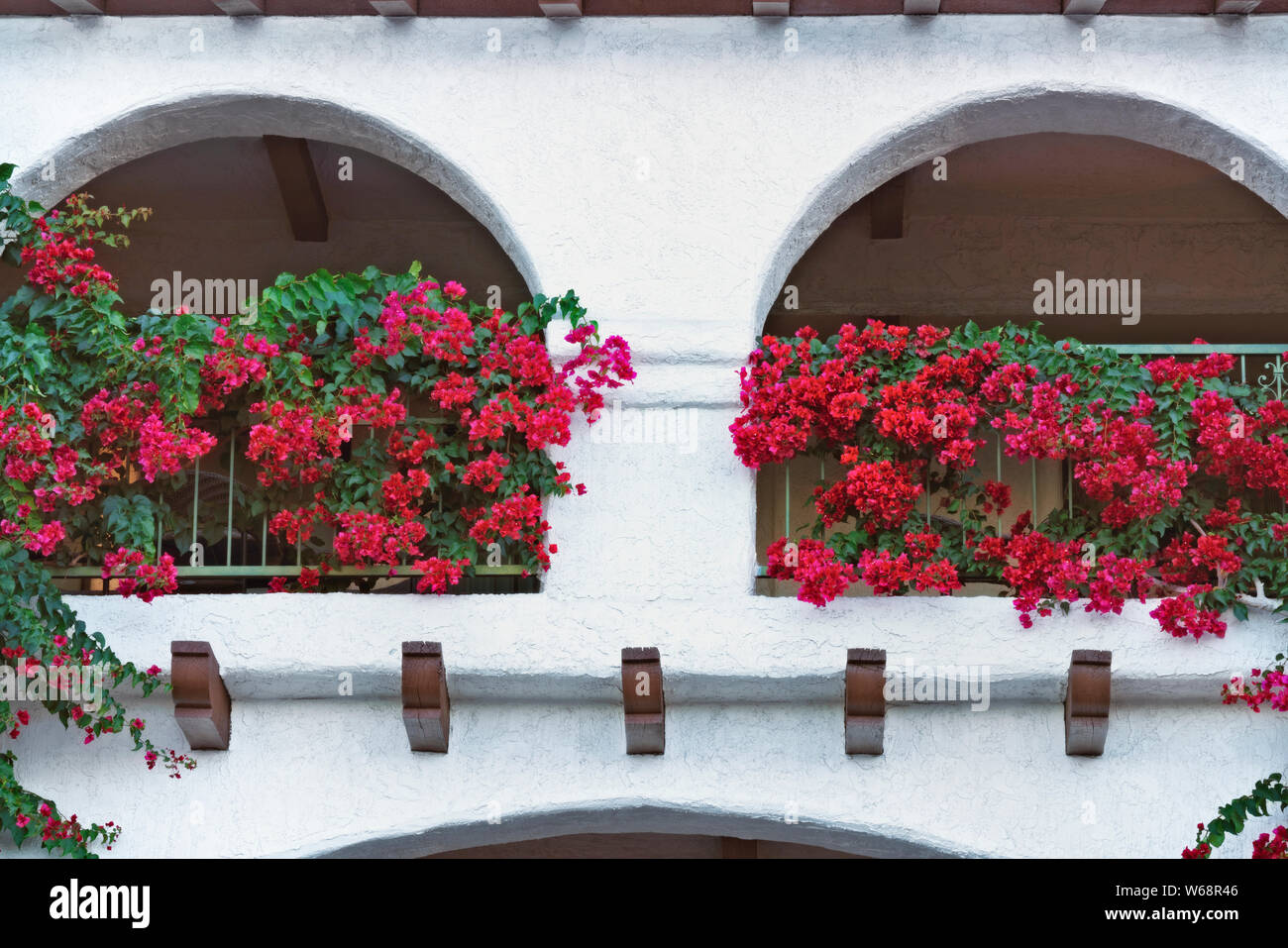 Bouganvillea fiorisce lungo il balcone di questo hotel in Palm Springs, California. Foto Stock