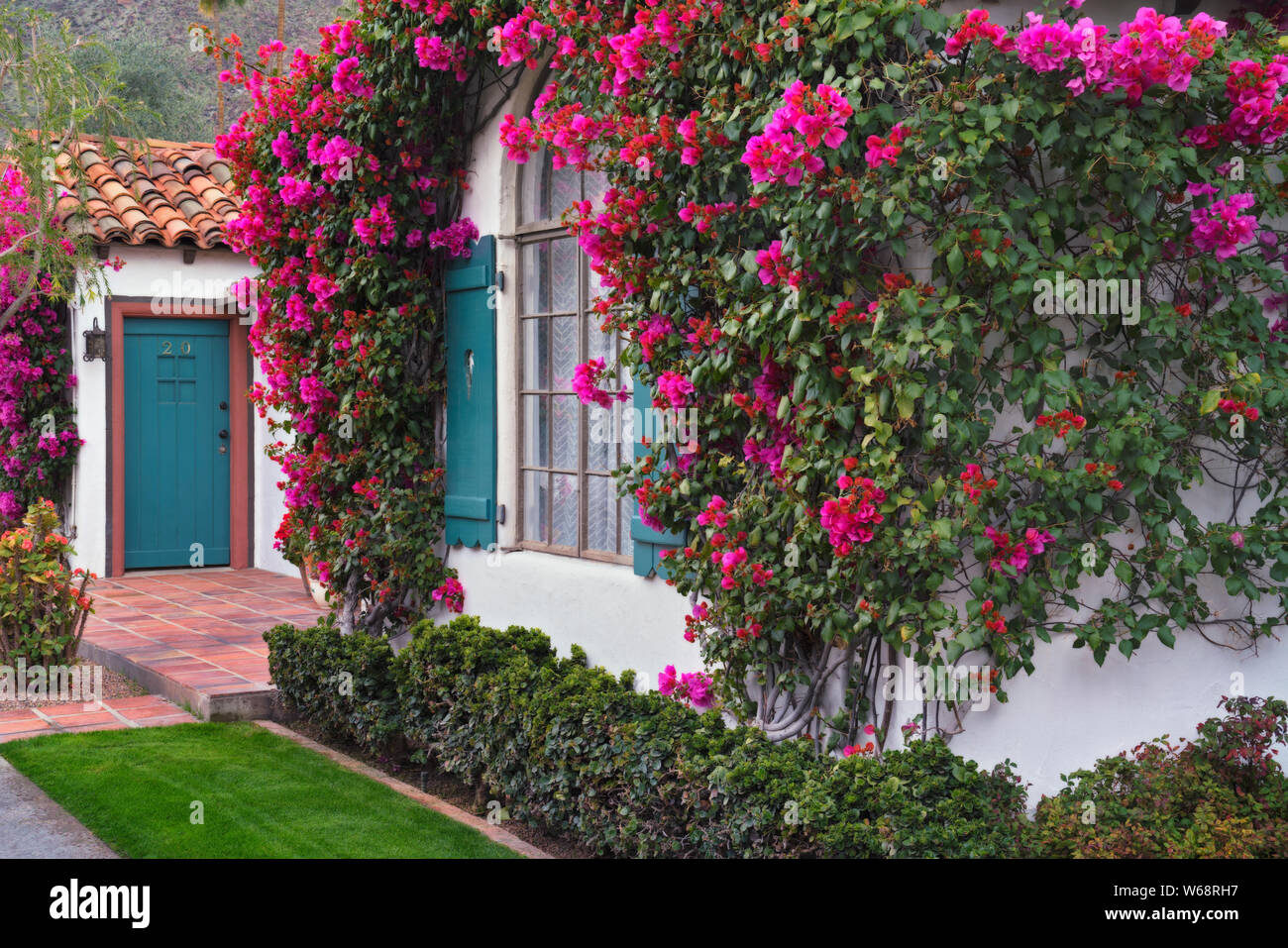 Bouganvillea fiorisce lungo il balcone di questo hotel in Palm Springs, California. Foto Stock