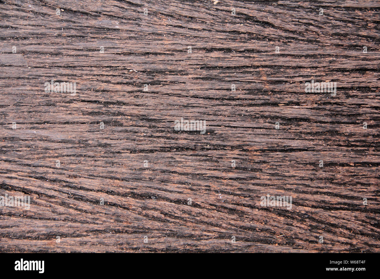 Rustico in legno naturale texture brown Foto Stock
