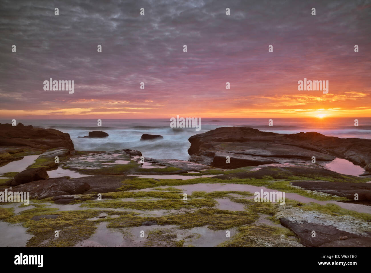 Luce della Sera il calore sul surf e basalto litorale lungo la central Oregon Coast a Yachats. Foto Stock