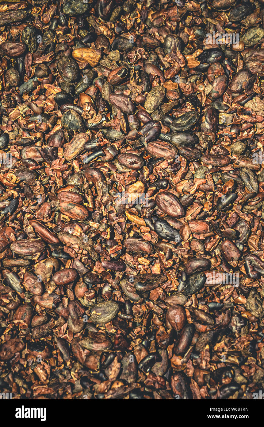 Fotografia verticale di marrone le fave di cacao sfondo. La texture, pattern aromatico fave di cacao. La produzione di cioccolato. Il cibo e le bevande. Foto Stock