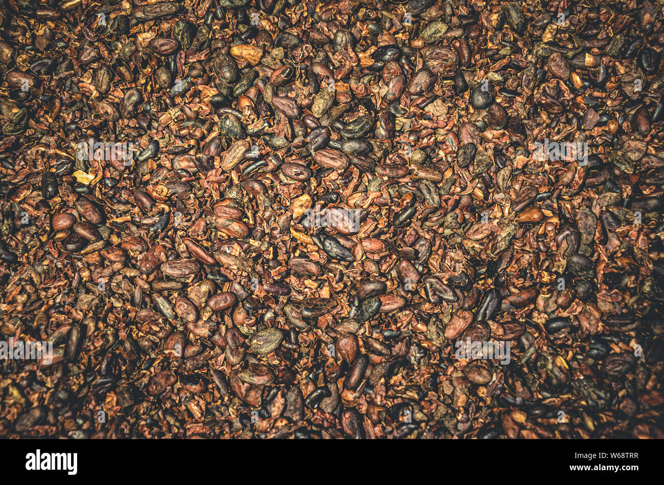 Modello di brown le fave di cacao sfondo. La texture aromatico fave di cacao. La produzione di cioccolato. Il cibo e le bevande. Foto Stock