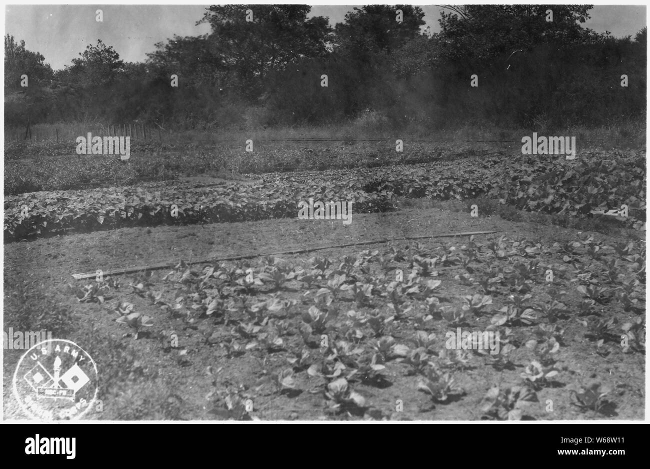 Vittoria giardino, Fort Stevens, Oregon, campo di applicazione e il contenuto: inizio con la guerra civile, IL GOVERNO DEGLI STATI UNITI L'esercito ha riconosciuto la necessità di prevedere per le difese costiere nel Pacifico NW lungo il fiume Columbia e del Puget Sound. Un certo numero di forti, molti non più in servizio, sono stati costruiti per questo scopo. Foto Stock