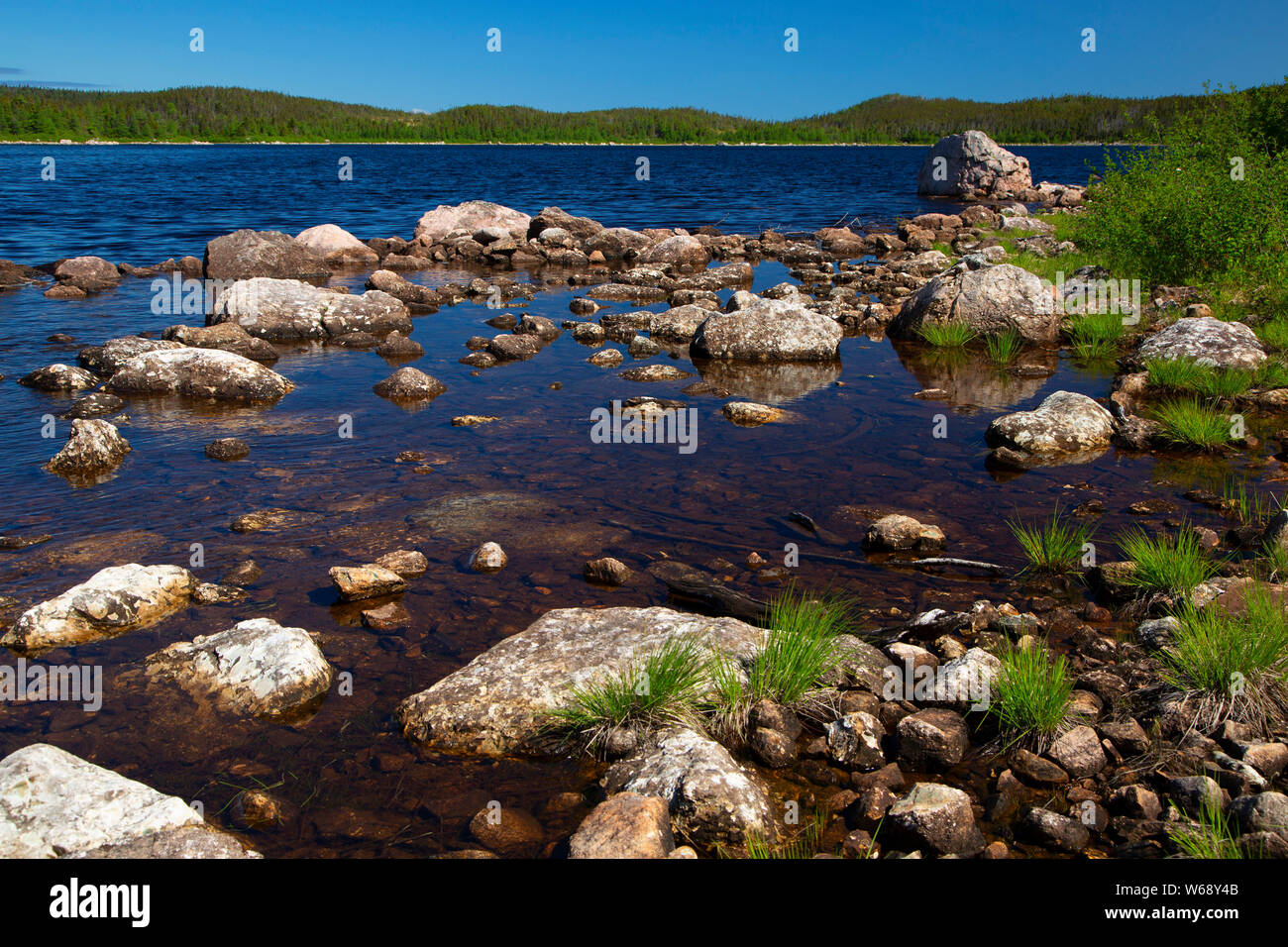 Lontra di Big Pond, burro pentola Parco Provinciale, Terranova e Labrador, Canada Foto Stock