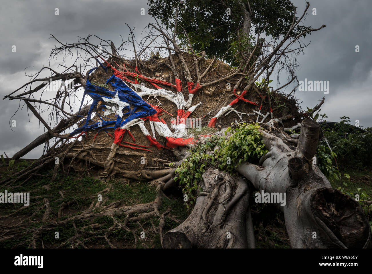 Albero caduto dall uragano Maria in San Juan con il Puerto Rican bandiera dipinta su radici Foto Stock