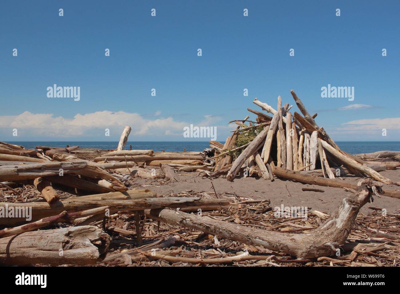 Pila di deriva di bastoni di legno sulla spiaggia accanto al Lago Superior Foto Stock