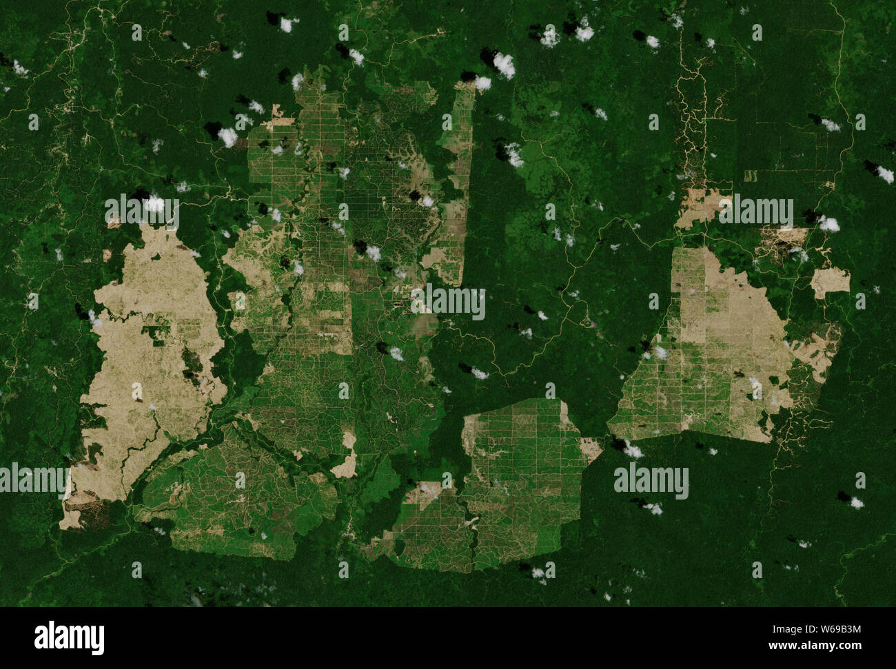 Olio di palma di piantagioni in East Kalimantan in Indonesia Visto dallo spazio - contiene modificati Sentinella di Copernico dati (2019) Foto Stock