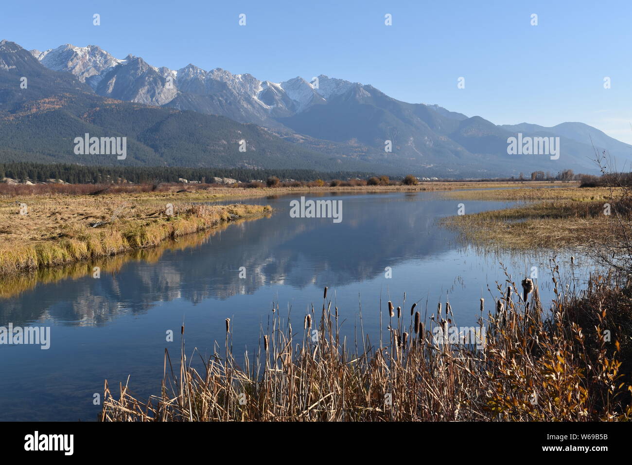 Le sorgenti del fiume Columbia come esso si snoda attraverso BC la Columbia Valley Foto Stock