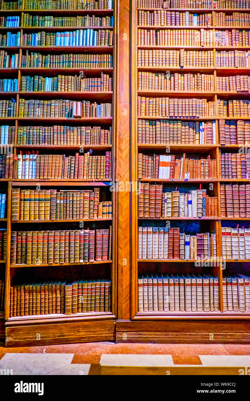 VIENNA, Austria - 2 Marzo 2019: l'annata scaffali in legno con una collezione di vecchi libri in biblioteca nazionale austriaca nel Palazzo di Hofburg, a marzo Foto Stock