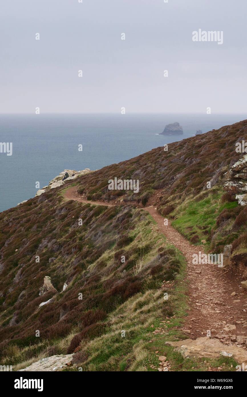 Bawden rocce al largo della costa frastagliata del North Cornwall su una giornata di primavera. Regno Unito. Foto Stock