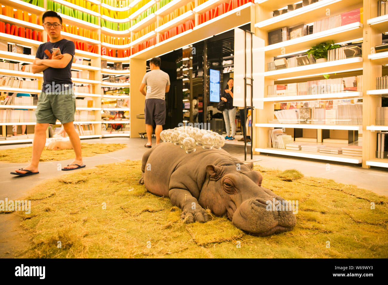 Una mostra è raffigurato a Yan Ji si bookstore progettato da Hong Kong designer Kyle Chan a K11 nella città di Guangzhou, a sud della Cina di Guangdong provi Foto Stock