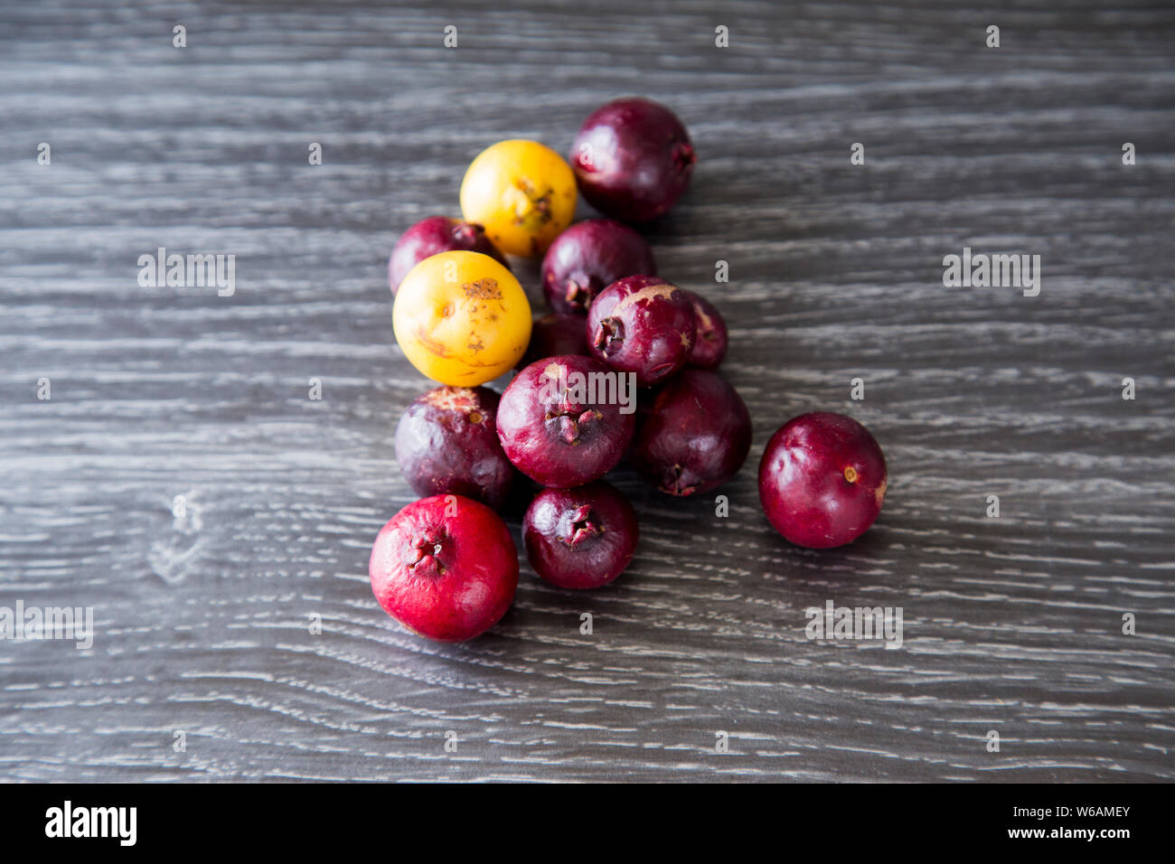 Homegrown, organico imperfetta del giallo e del rosso ciliegia guaiave. Cresciuto in Nuova Zelanda in autunno, esse sono ricche di vitamina C per i mesi invernali Foto Stock