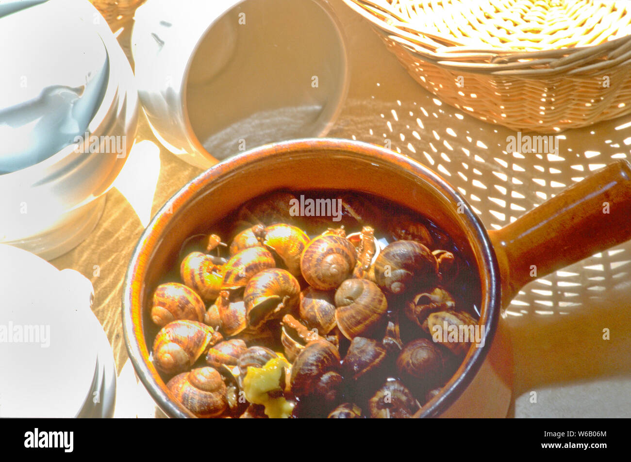 Escargots, considerata la delicatezza e un sofisticato antipasto, sono lumache di terra cotta nel burro all'aglio, vino e erbe aromatiche. Si tratta di un fiocco in Francia. Foto Stock