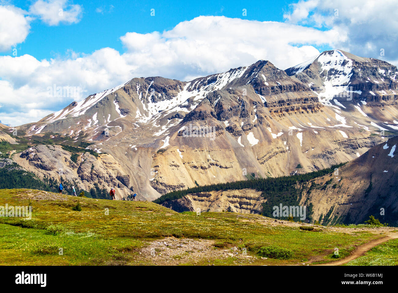 Le Montagne Rocciose Canadesi in corrispondenza della cresta di Parker Ridge escursione sulla Icefields Parkway nel Parco Nazionale di Jasper. La cresta esposta è una terra spazzate dal vento del rock Foto Stock