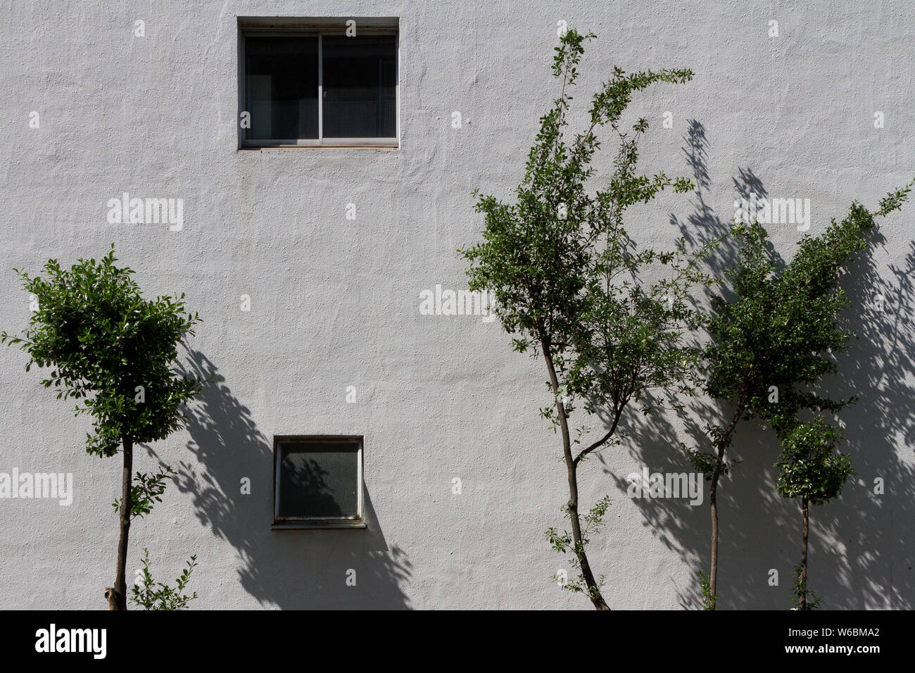 Alberi contro un muro bianco con finestre a Tokyo, Giappone Foto Stock
