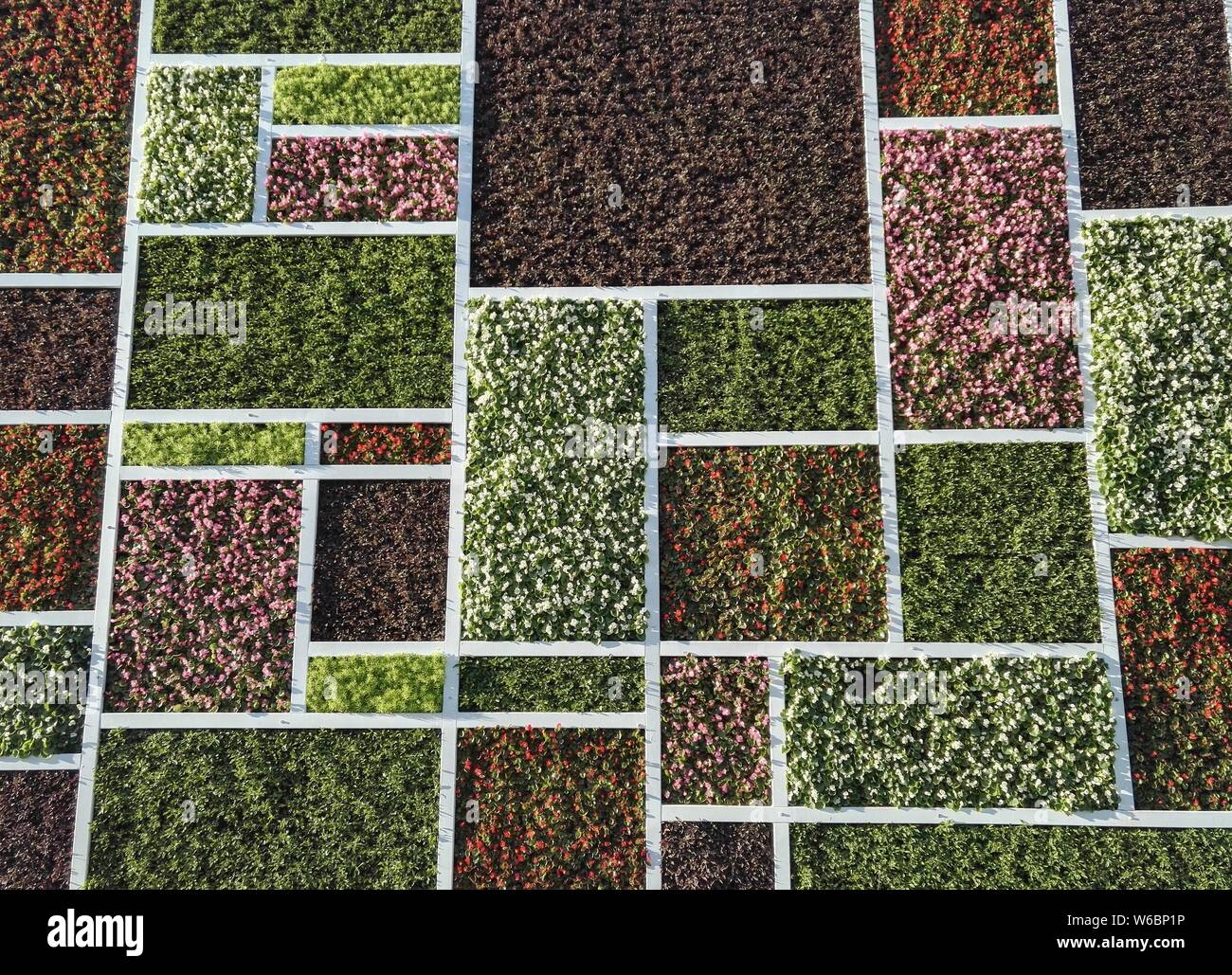 La magia a forma di cubo wc pubblico è decorata con forma quadrata di piante in diversi colori a Pechino, in Cina, il 3 maggio 2018. Un wc pubblico featur Foto Stock