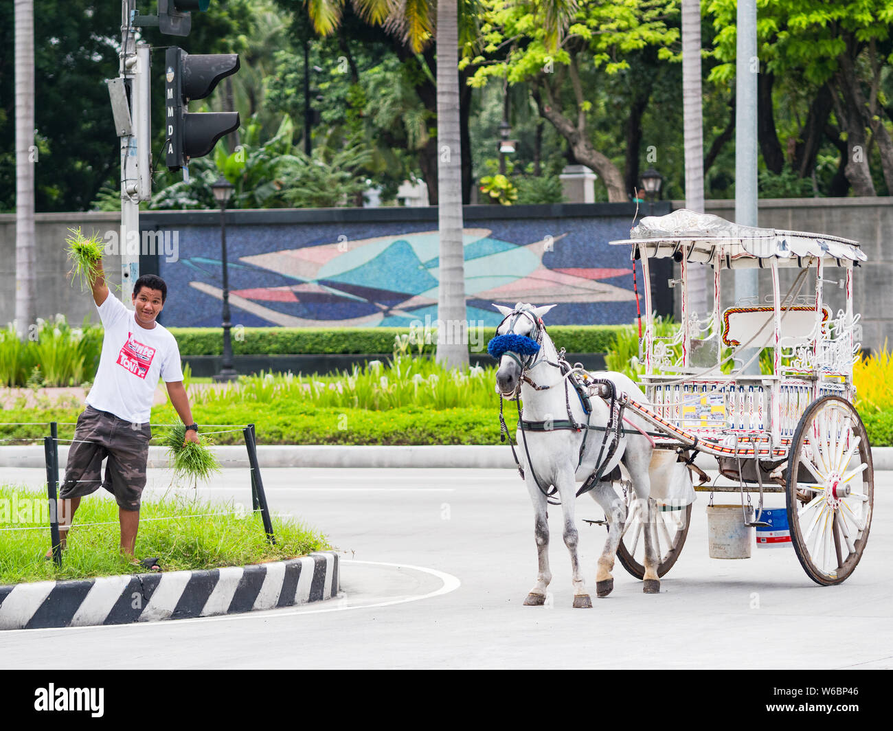 Manila - Agosto 9, 2017: cocchiere di trovare cibo per il suo cavallo presso la centrale di prenotazione di Roxas Boulevard a Manila. Foto Stock