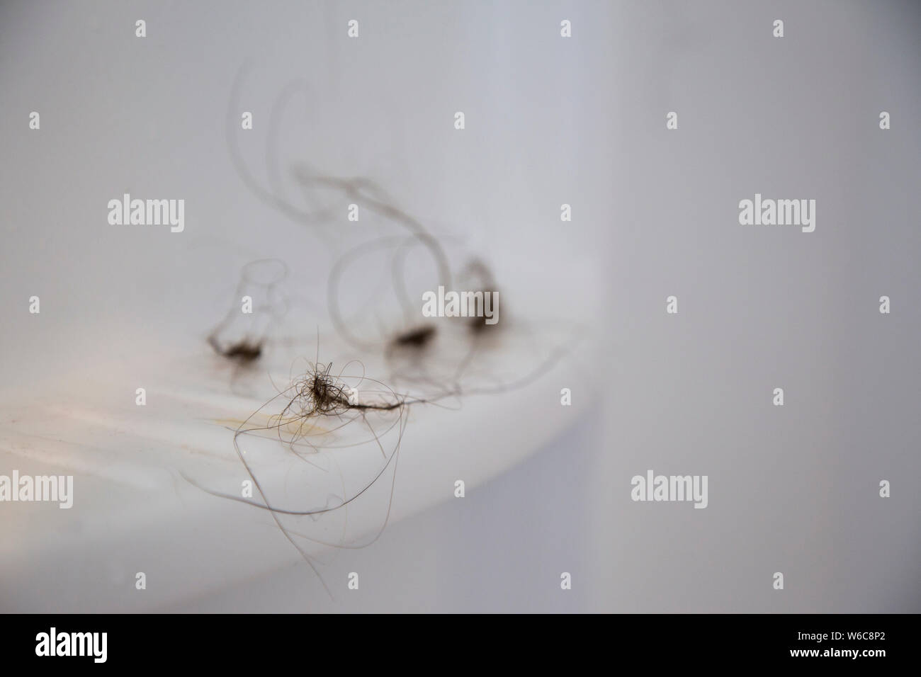Le sfere di capelli nella doccia. La caduta dei capelli dopo la gravidanza e allattamento al seno. Il modo migliore per impedire il bloccaggio del drain, sfera it up stick alla parete Foto Stock