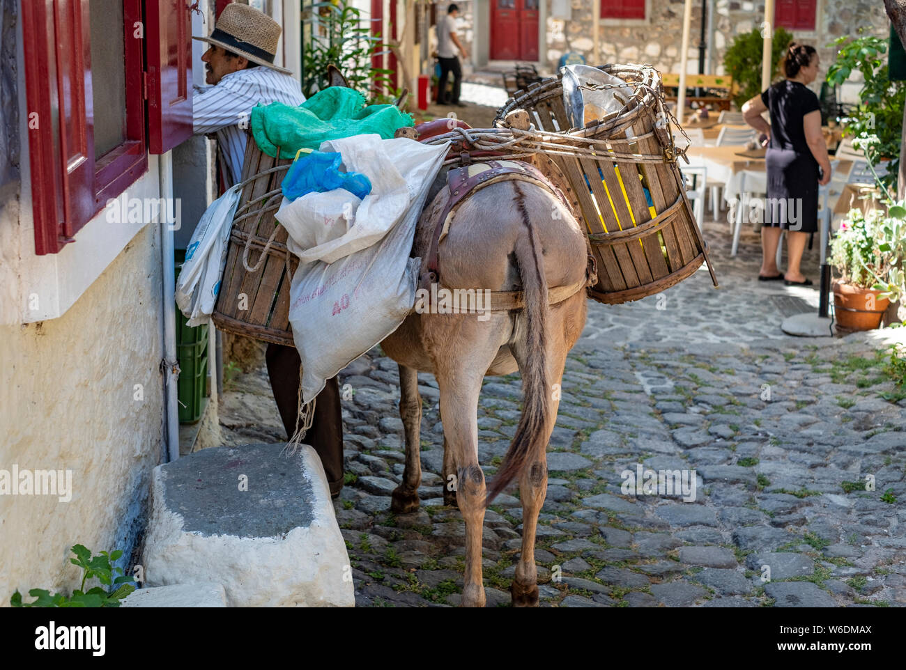 Un villaggio in scena la Grecia rurale come un uomo con il suo asino parla di un potenziale acquirente del suo le verdure in una piazza del villaggio Foto Stock