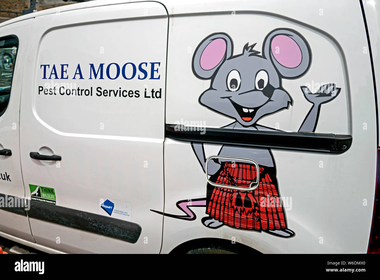 Un furgone con un mouse in un kilt illustrazione sul lato, pubblicità 'Tae un alce' Pest Control Services Ltd in una strada di Edimburgo, Scozia, Regno Unito. Foto Stock