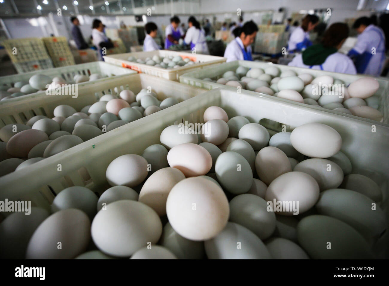 Salate uova di anatra sono confezionati in Gaoyou, città di Yangzhou, est cinese della provincia di Jiangsu, 16 aprile 2018. Salate uova di anatra, tipicamente salatura in salamoia, Foto Stock