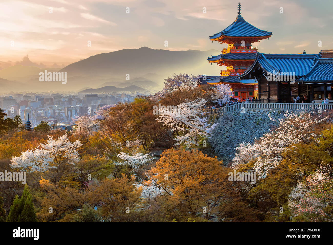 Tramonto a Kiyomizu Dera tempio con sakura ciliegio blossom oltre la montagna, Kansai, Giappone Foto Stock