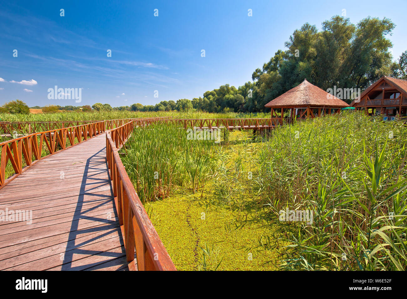 Kopacki Rit paludi il parco di natura di legno vista boardwalk, Baranja regione della Croazia Foto Stock